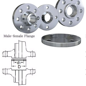 Stainless Steel 316Ti Male & Female Flanges Manufacturer