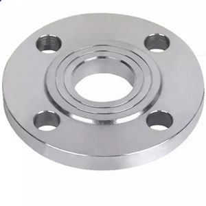 Stainless Steel 304L Ring Type Joint Flanges Manufacturer