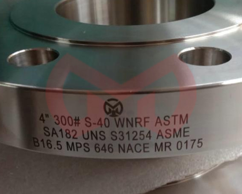 SMO 254 Flanges Supplier