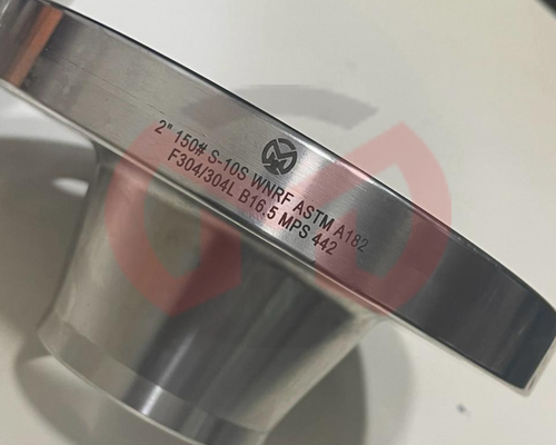 Stainless Steel 304 Flanges Supplier